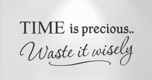 TIme is precious, waste it wisely.