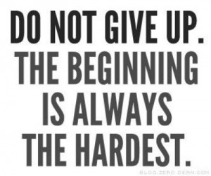 Do not give up. The beginning is always the hardest.