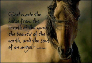 Another good horse quote. Keep wild horses wild!