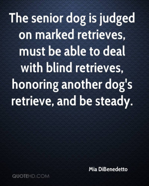 Senior Dogs Quotes The senior dog is judged on