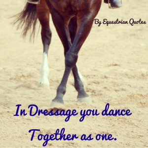 ... ask me what dressage is.... I tell them, 