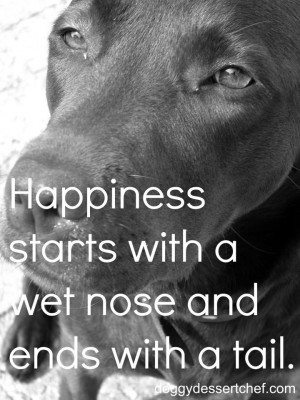 Found on doggydessertchef.com