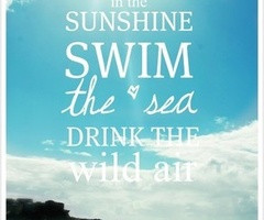 Surfing Tumblr Quotes Surf quotes