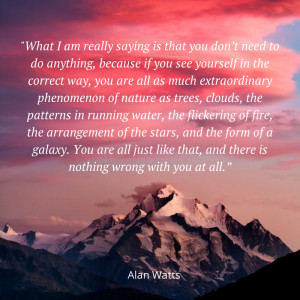 Alan Watts You and the trees and the galaxies