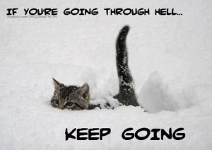 Quotes | cute kitten walks through deep snow in this inspirational ...