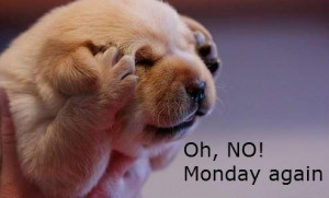 funny monday quotes oh no monday again