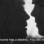 nicholas sparks,phrases,quotes,the lucky one,zac efron,love quotes