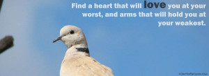 Dove Quote Facebook Covers for Your Timeline