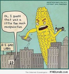 Gardening Quotes and Memes