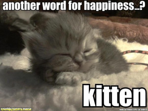 ... Another Word For Happiness! Kitten - Happy Cat Tales: Spread The Word