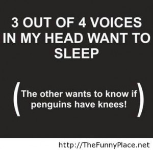 Voice in my head funny sayings