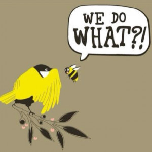 Get it? The birds&the bee's? LOL
