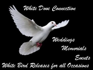 White Dove Release Quotes