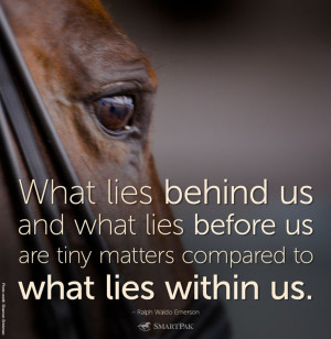 Via Alexandra Neumann