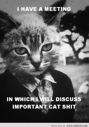 funny pictures funny quotes about meetings