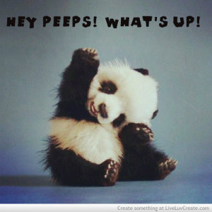 animals, cute, i love pandas, quote, quotes