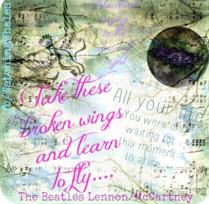 Beatles blackbird lyric quote via www.Facebook.com/WatchingWhales