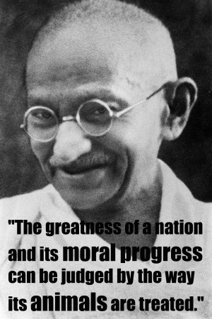 The greatness of a nation and its moral progress can be judged by the ...
