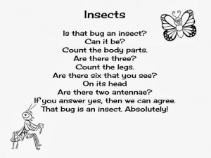 Ribbons, Recipes and Rhymes: Insect Poem
