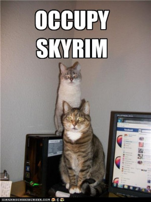 cats don't wanna him play skyrim ,