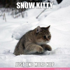 SNOW KITTY, JUST ONE MORE HOP
