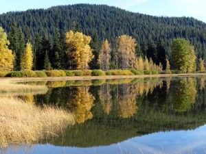 When our sense of self-worth is still low, we cannot set limits, make ...