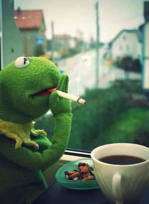 Kermit the Frog / Funny, Smoking