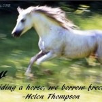 Horse Racing Quotes And Sayings