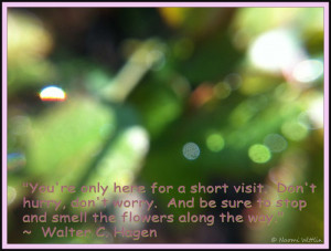 Water drops quote