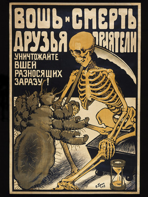 typhus disease world war ii typhus fever and