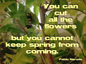 You can cut all the flowers…