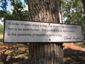 with cool inspirational quotes for dogs nailed onto the trees along ...