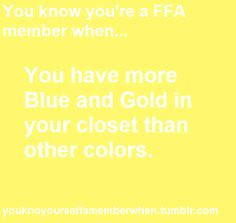actually they are PINK FFA tshirts! (: