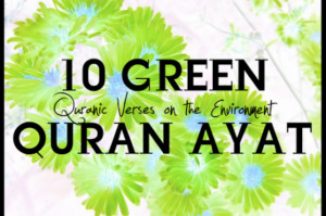 Muslim or not, these 10 Quranic quotes on EcoIslam will really make ...