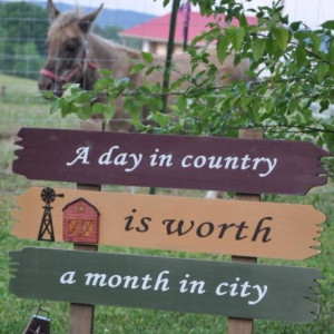 ... Girls, Barns Country, Country Living, Barns Decor, Quotes Sayings