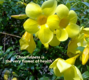 Healthy Living Quotes Inspire You To Greater Health