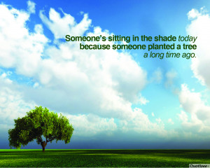sitting in the shade feb 3 2013 business life quote wallpapers