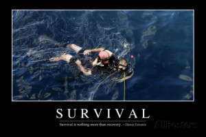 Survival: Inspirational Quote and Motivational Poster Photographic ...