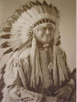 Oglala Lakota Chief Luther Standing Bear is notable in American ...