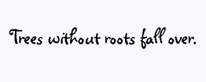 family reunion sayings: trees without roots fall over