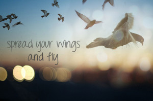fly away #fly #spread your wings and fly #escape reality #freedom