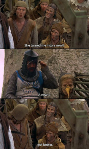 newt鈥?Oh Monty Python and the Holy Grail. The most quote-able movie ...
