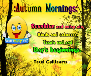 Autumn morning sunshine and crisp air