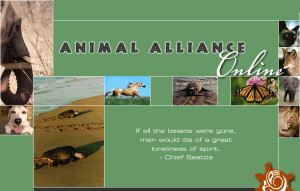 Found on animalalliance.org