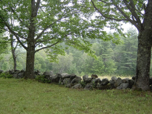 Mending Wall by Robert Frost - Read the Poem Mending Wall by