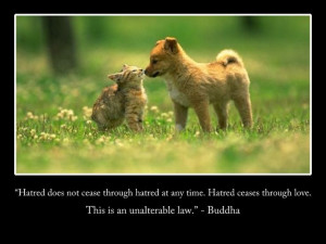 Hatred does not cease through hatred at any time. Hatred ceases ...