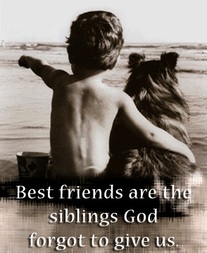 ... love cards friendship friends friendship friends friendship quotes