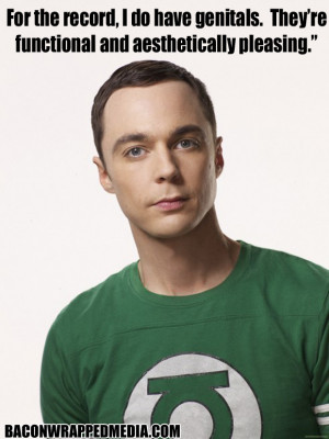 sheldon cooper meme number one picture