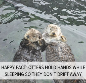 ... Hands, Get Happy, Cuteanimals Otters, Holding Black, Happy Facts, Cute