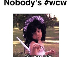 Nobody 39 s WCW Quotes